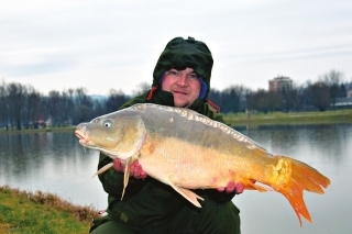 Prvý zdolaný kapor dňa s hmotnosťou okolo 8 kg, nástraha 16 mm peleta.