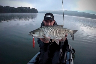 3D Backlip Herring