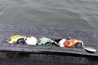 Searchbaits: jig Spinner – Deracoup.
