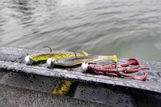 Keitech Easy Shiner, Glossy Shad a Smoking Dad na jigu tip-up.