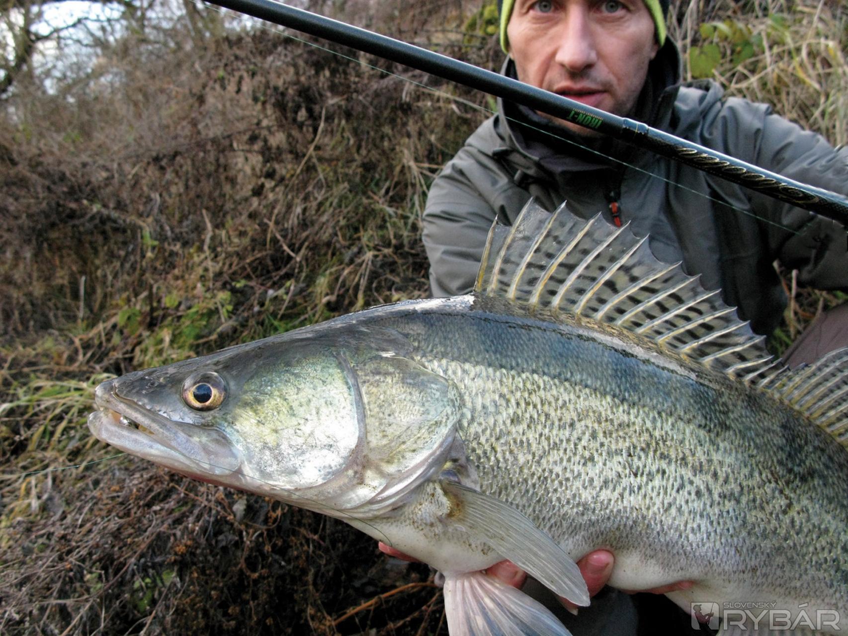 Jig rig nájde uplatnenie nielen vo vode plnej prekážok.