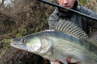 Jig rig nájde uplatnenie nielen vo vode plnej prekážok.