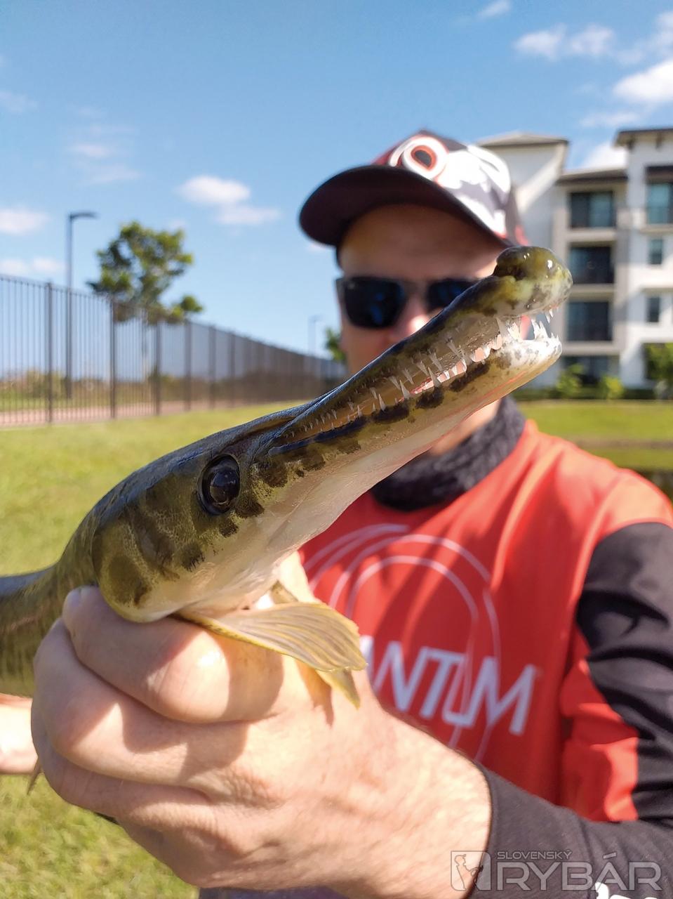 Alligator gar, pozostatok po praveku.