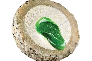 Nutrigo – prišiel čas na zmenu 5
