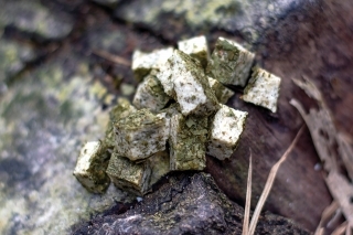 Medvedí cesnak.