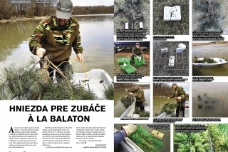 Hniezda pre zubáče  à la Balaton