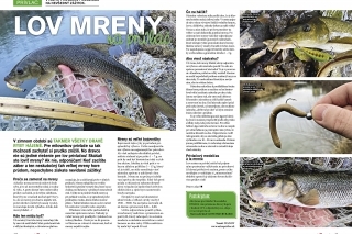 Lov mreny na prívlač