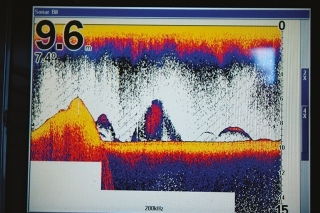 Takýto obrázok na sonare si praje vidieť každý prívlačiar.