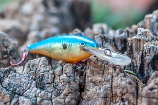 Model crankbait typu Deep Runner (DR).