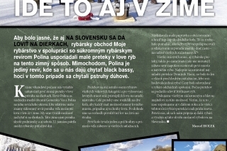Ide to aj v zime