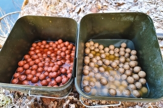 Zaliate boilies horúcou vodou sú prichystané na kŕmenie.