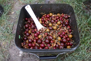 Za titulom Majstra Slovenska v love kaprov 6