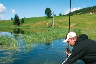 Francúzi a Taliani s obľubou používajú na lov pstruhov dúhových
na veľkých jazerách sbirolína.