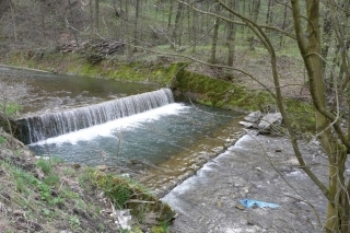 Splav - veľmi nádejné miesto na 
kapitálneho pstruha.