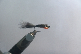 Rishi brush strímer 13