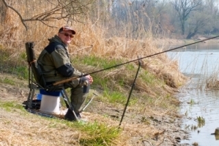 Feeder a štyri ročné obdobia