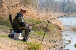 Feeder a štyri ročné obdobia