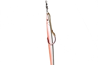 Jigging 4