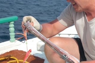 Jigging 6