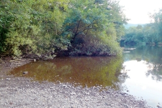 Príroda pri rieke.
