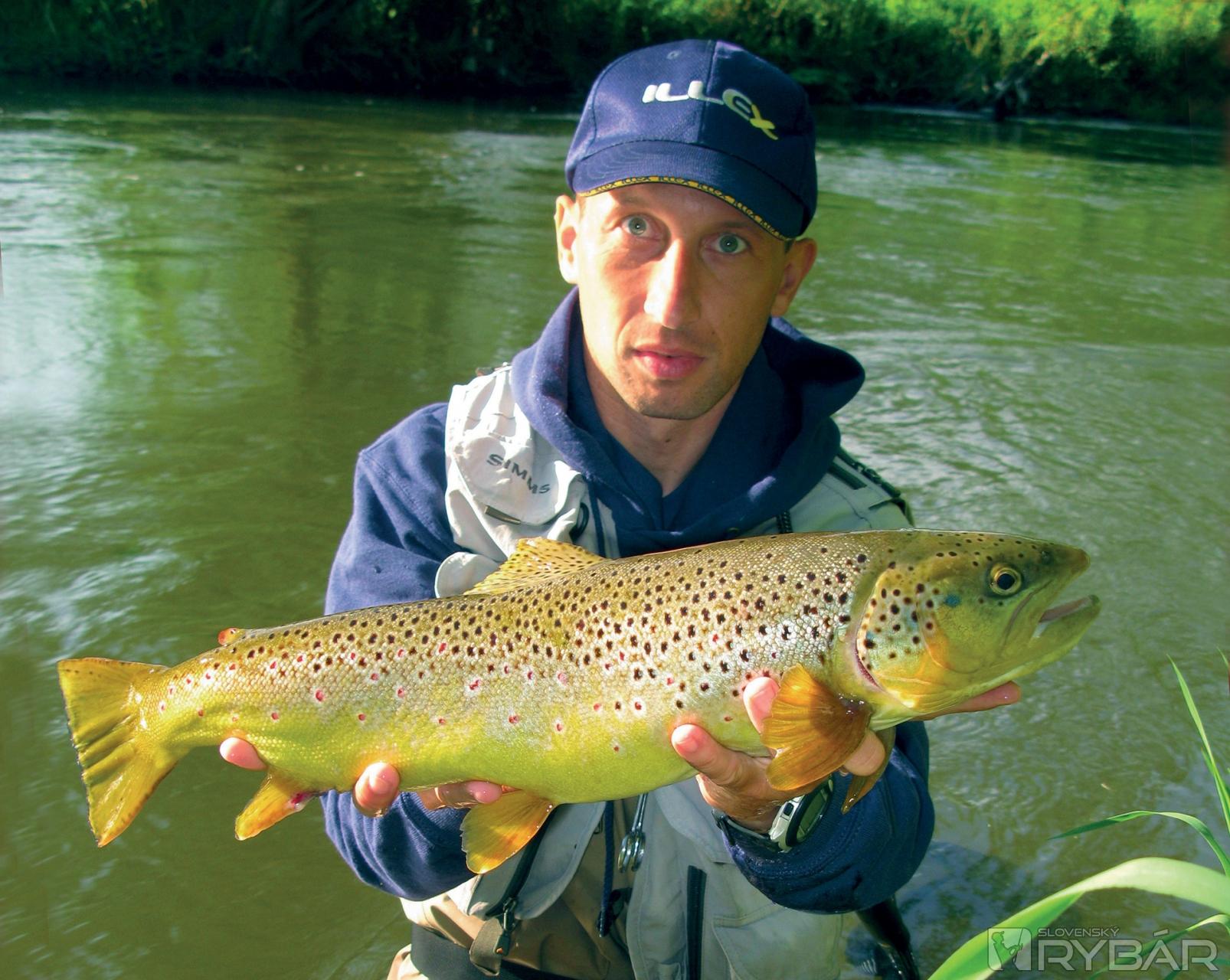Trout stalking 2