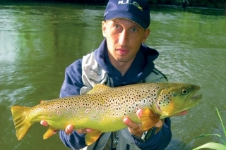Trout stalking 3