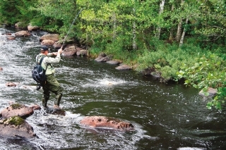 Fantastická štvorka 1