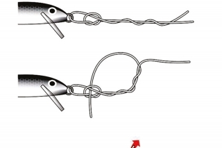Rapala uzol.