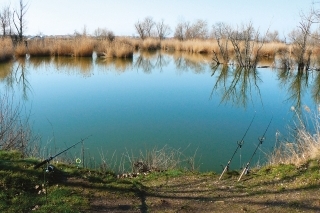 Jar, feeder a voda