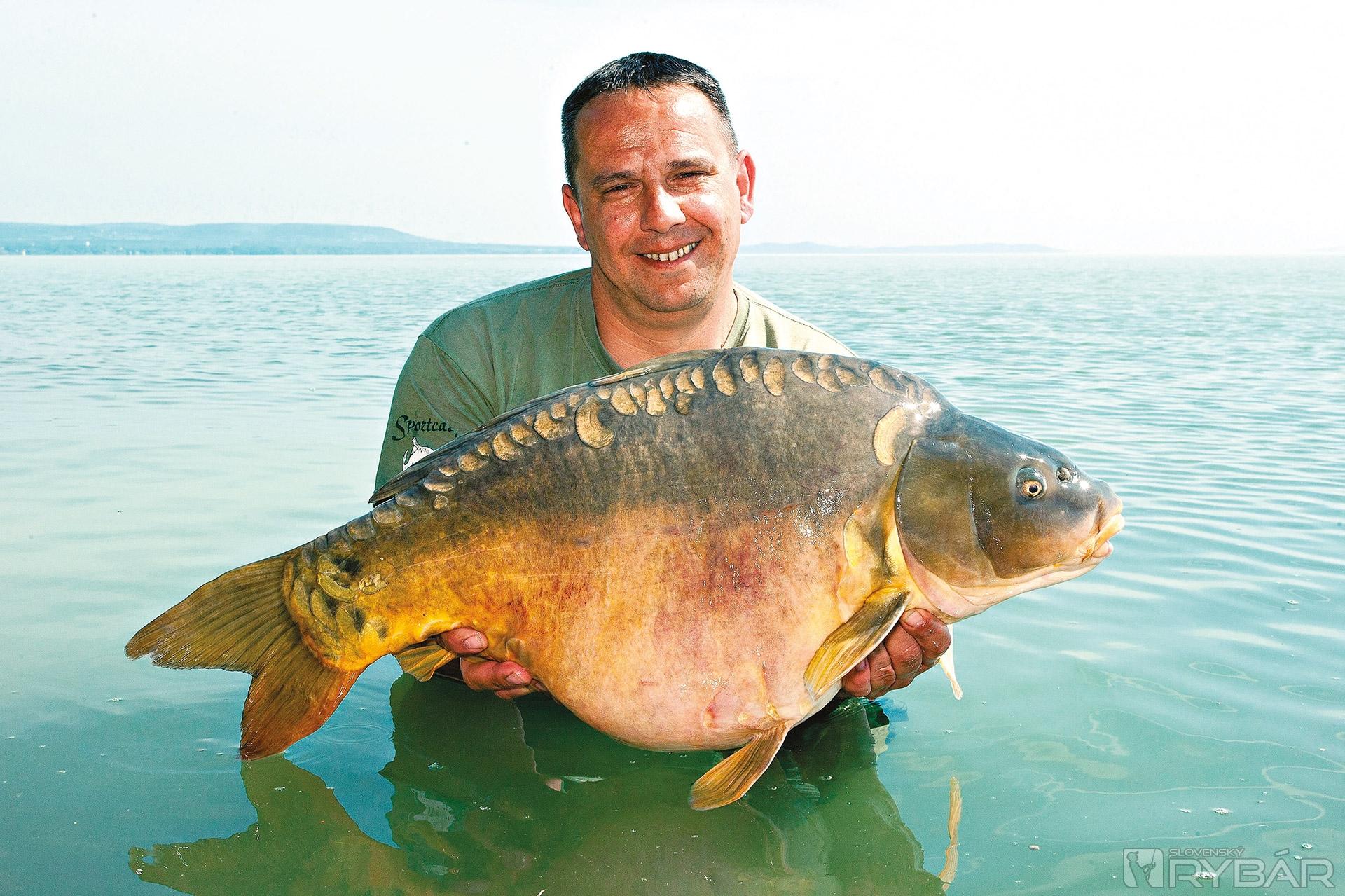 Zajatec severného pobrežia, Balaton 1