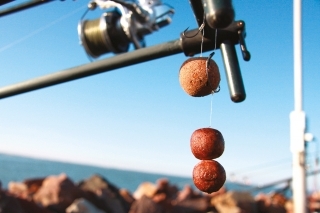Zajatec severného pobrežia, Balaton 5