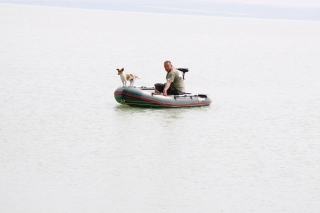 Zajatec severného pobrežia, Balaton 8
