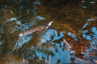 Keď sa sen stane skutočnosťou, 1. časť 4