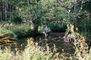 Pôvabný  Alsterån 10