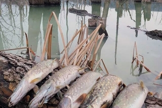 Ekohavárie minulosti i dneška 2