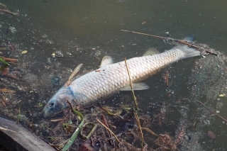 Ekohavárie minulosti i dneška 3