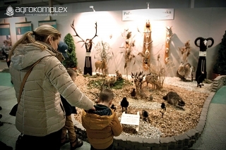 Fotoreportáž z výstavy Rybárstvo, poľovníctvo a včelárstvo v Nitre 15