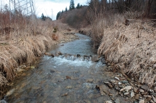 Rieka Orava a revíry SRZ Orava 2 2