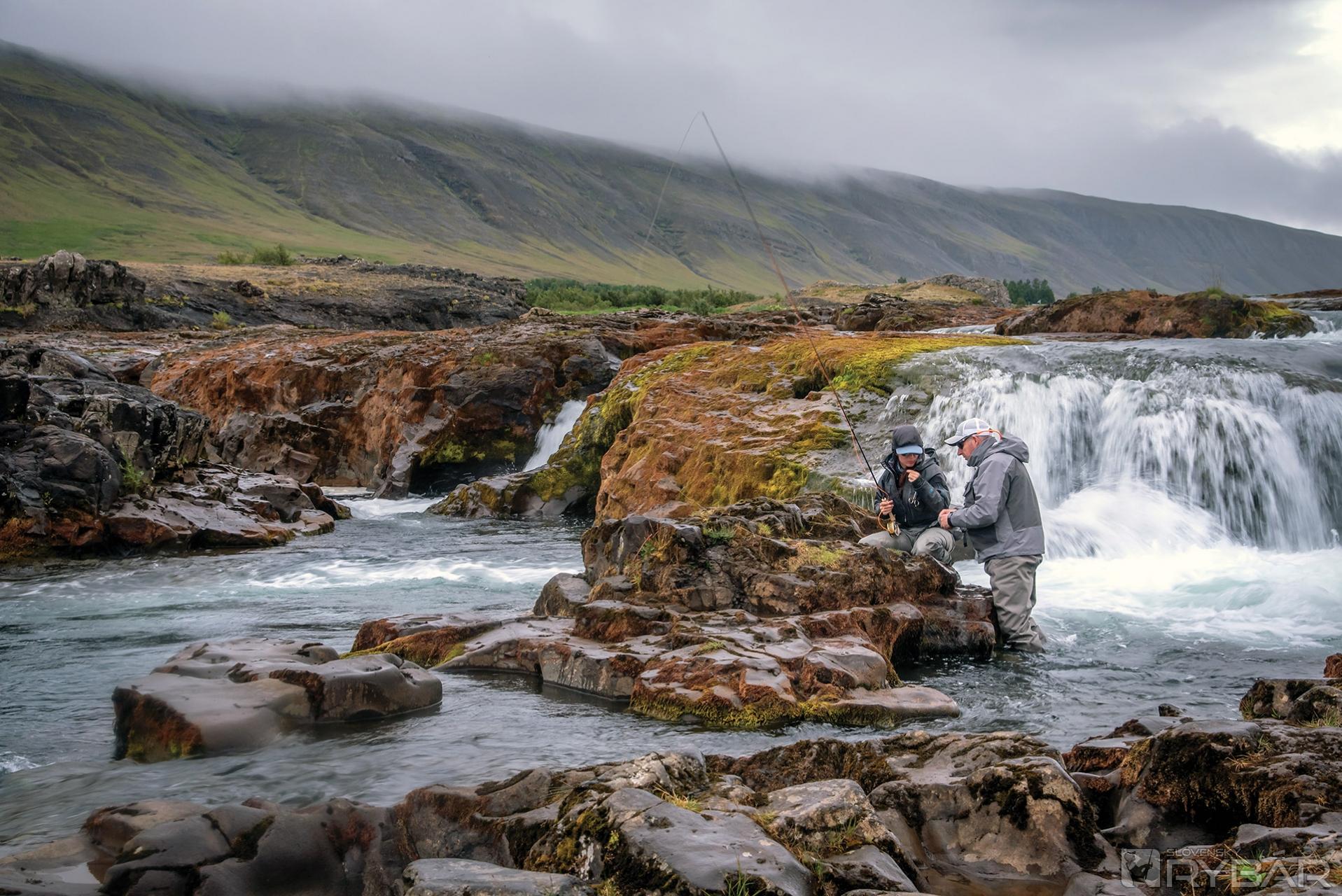 Muškárenie na Islande 2