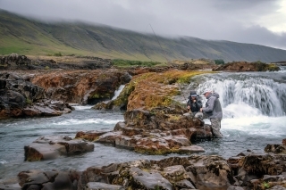 Muškárenie na Islande