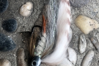 Najúspešnejší islandský vzor strímra, napodobňujúci malého arktického sivoňa, ktorý je hlavnou potravinovou rybou pstruhov potočných v jazere Thingvellir.