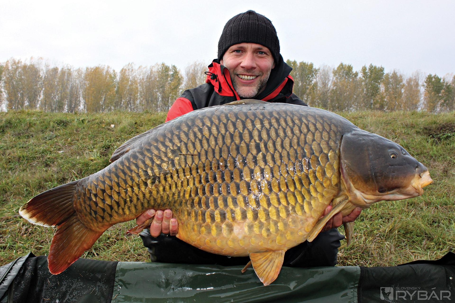 Najväčsia ryba
jesene 2019 – 24,2 kg.