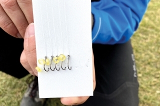 Na jar, keď je voda čistá a na štrkoviskách zvlášť, používam nadväzce na fluorocarbone. Predovšetkým preto, že je pre ryby menej viditeľný a tiež preto, že fluorocarbon je o niečo tuhší ako pletená šnúra, takže je menšia šanca, že sa pri nahadzovaní zamotá.