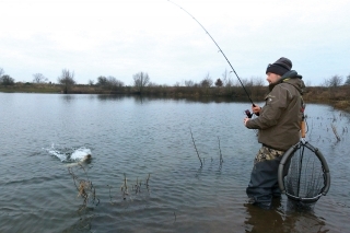 Spinnerbait bol účinný.