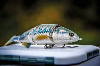 Model Swimbait.