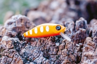 Model Minnow typu Shallow Runner (SR) (Sinking – potápajúci vobler).
