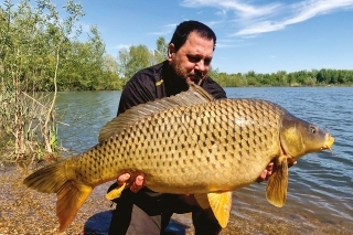 Krásne stavaný dospelý šupináč ulovený na štrkovisku.