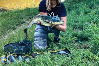 Kočky na rybách Klára Ptáčková 8