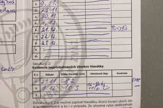 Cesta za korunou šťastia,  2. časť 10