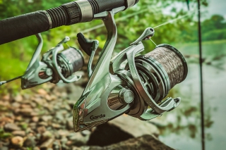 V kráľovstve topoľov